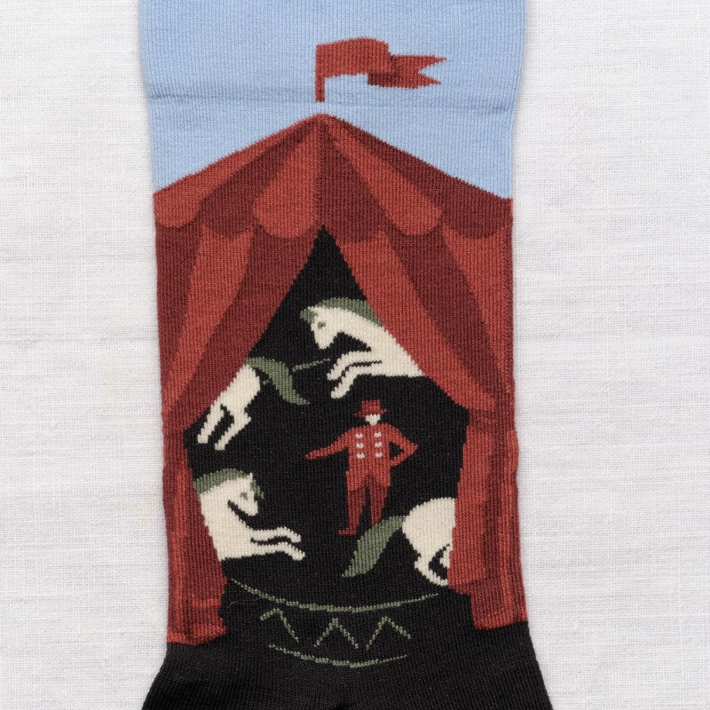 Socks - Circus Dark