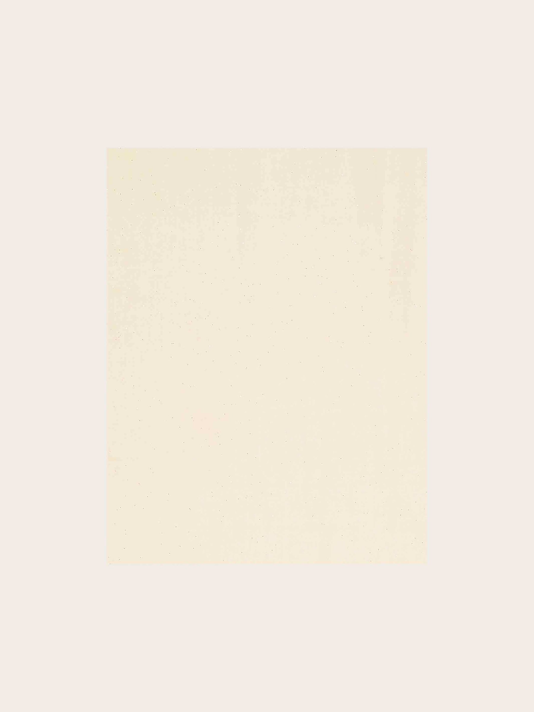 ELEGANT CASHMINK STOLE WITH DELICATE GLITTER - Honest White